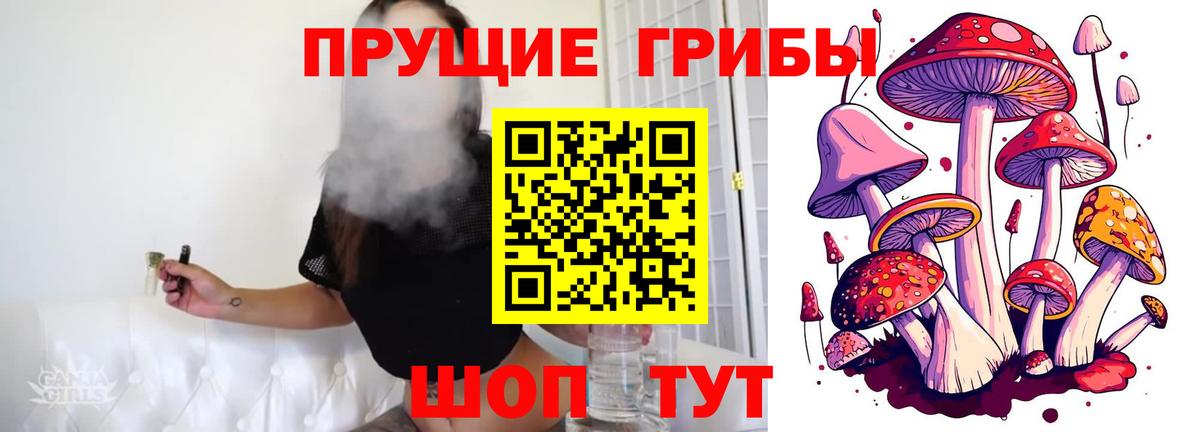 Гатчина  Псилоцибиновые грибы мицелий  Вход с VPN  купить закладку  Галлюциногенные грибы мухоморы 